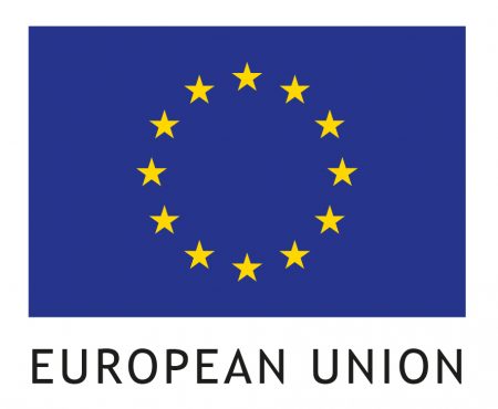 EU flag Emblem